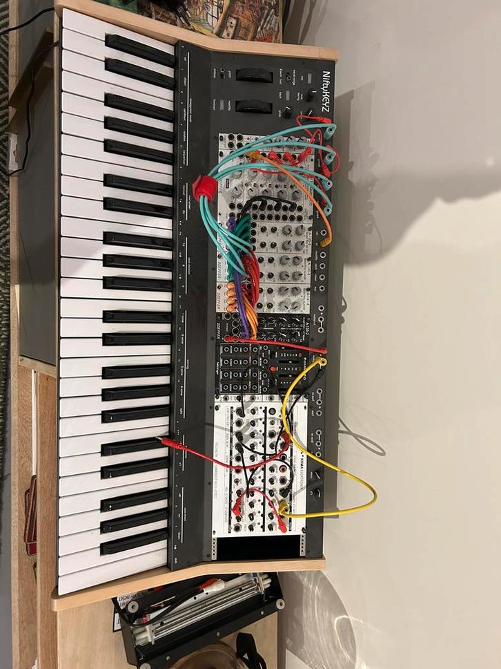 Modular poly synth, Muziek en Instrumenten, Synthesizers, Zo goed als nieuw, Overige aantallen, Overige merken, Ophalen of Verzenden