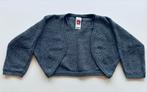Grijs vestje met zilverdraad maat 122-128, Kinderen en Baby's, Kinderkleding | Maat 122, Ophalen of Verzenden, Zo goed als nieuw