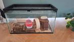 Hamsterkooi I hamsterkooi, Dieren en Toebehoren, Knaagdieren en Konijnen | Hokken en Kooien, Minder dan 60 cm, Kooi, Gebruikt