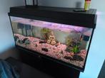 Jewel primo luxe 80cm, Dieren en Toebehoren, Vissen | Aquaria en Toebehoren, Ophalen, Gebruikt, Leeg aquarium