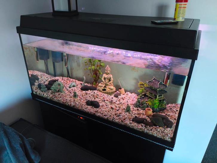 Jewel primo luxe 80cm, Dieren en Toebehoren, Vissen | Aquaria en Toebehoren, Gebruikt, Leeg aquarium, Ophalen
