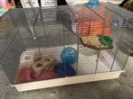 Hamsterkooi met wat spullen, Minder dan 60 cm, Kooi, Minder dan 75 cm, Ophalen of Verzenden