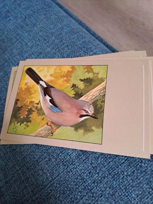P. SluisAnsichtkaarten - Vogels, Verzamelen, Ansichtkaarten | Buitenland, Ongelopen, Duitsland, Ophalen of Verzenden