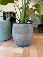 Plantenpot Intratuin Mira grijs / taupe, Ophalen, 40 cm of meer, Rond, Zo goed als nieuw