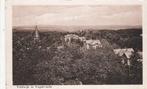 ermelo- veldwijk in vogelvlucht, Verzamelen, Ansichtkaarten | Nederland, Ophalen of Verzenden, 1940 tot 1960, Gelderland