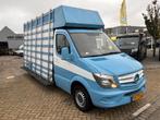 Mercedes-Benz Sprinter 313 cdi glasresteel (bj 2014), Auto's, Bestelauto's, 13 km/l, Euro 5, Gebruikt, Bedrijf