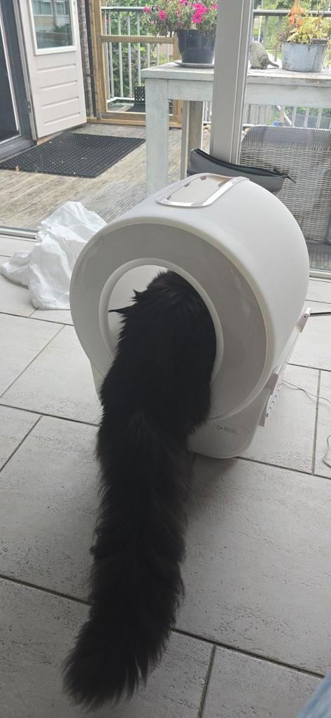 Petlux xxl v3 kattenbak, Dieren en Toebehoren, Kattenbakken, Nieuw, Ophalen