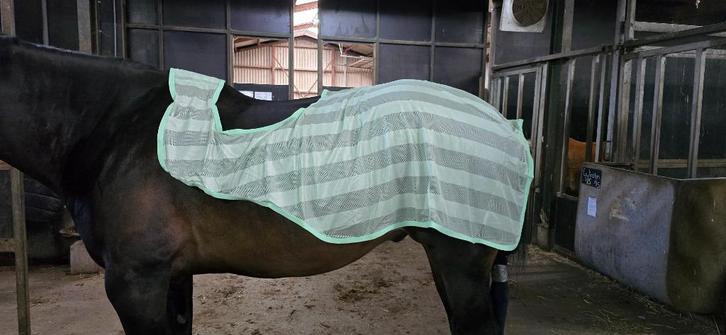 Vliegendeken voor tijdens het rijden, Dieren en Toebehoren, Paarden en Pony's | Dekens en Dekjes, Nieuw, Deken, Ophalen of Verzenden