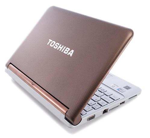 Toshiba-NB305 11 Inch laptop .Vintage , Komt uit 2009, Computers en Software, Windows Laptops, 11 inch, Minder dan 2 Ghz, Ophalen
