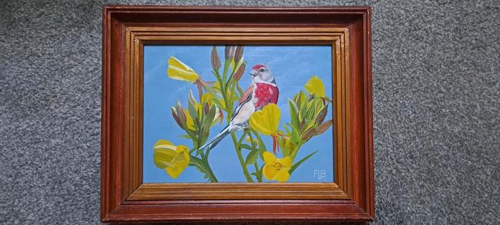 Kneu met Teunisbloem - Ron Brinkman, Antiek en Kunst, Kunst | Schilderijen | Klassiek, Ophalen of Verzenden