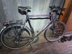 Giant Expedition fiets XL frame, Gebruikt, Versnellingen, 53 tot 57 cm, Giant
