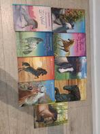 9 Boeken van Christine Linneweever - Paardenverhalen, Boeken, Ophalen of Verzenden