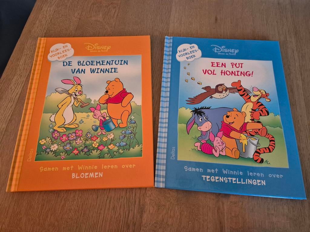 2 x kijk en voorleesboek Disney. Winnie de Poeh, Boeken, Ophalen of Verzenden, Zo goed als nieuw, 3 tot 4 jaar