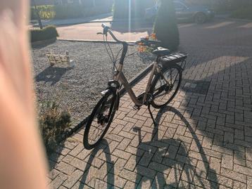 STELLA LIVORNO. Gold. In zeer nette staat! beschikbaar voor biedingen