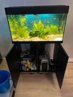 Aquarium juwel rio 125, Dieren en Toebehoren, Vissen | Aquaria en Toebehoren, Ophalen, Zo goed als nieuw, Gevuld zoetwateraquarium