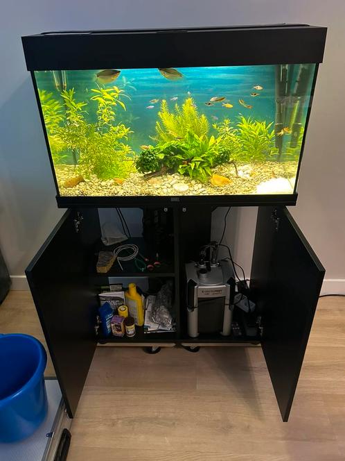 Aquarium juwel rio 125, Dieren en Toebehoren, Vissen | Aquaria en Toebehoren, Zo goed als nieuw, Gevuld zoetwateraquarium, Ophalen