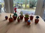 Lego Botanicals Miniplantjes - Compleet, Zonder Doos/Instruc, Ophalen of Verzenden, Gebruikt, Complete set, Lego
