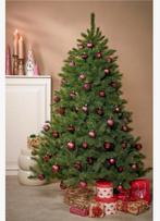Triumph Tree Forest Frosted Pine 230cm, Ophalen of Verzenden, Zo goed als nieuw