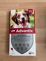 6x2,5ml pipetten Advantix- 10-25kg - tht sept 2029 - €39,00, Dieren en Toebehoren, Ophalen of Verzenden, Nieuw