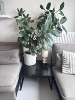 Montel Bijzettafel van marmer - 60x60x35 cm, Ophalen, Gebruikt, Vierkant, 55 tot 75 cm