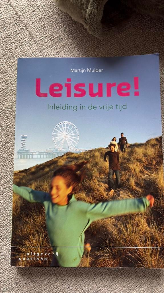 Martijn Mulder - Leisure!, Sociale wetenschap, Ophalen of Verzenden, Zo goed als nieuw, Martijn Mulder