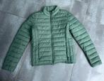 Mintgroene tussen jas, America Today, medium, Kleding | Dames, Jassen | Zomer, Groen, Maat 38/40 (M), Ophalen of Verzenden, America Today