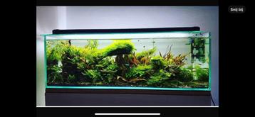 Aquarium 90-30-30 beschikbaar voor biedingen