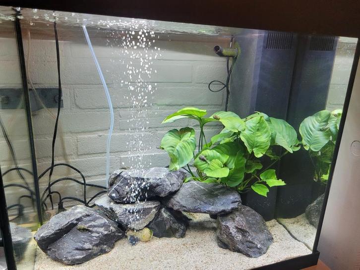 Juwel Lido 120 met juwel meubel Led verlichting nette staat, Dieren en Toebehoren, Vissen | Aquaria en Toebehoren, Gebruikt, Gevuld zoetwateraquarium