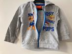 Paw Patrol Vest Nickelodeon maat 68/74, Ophalen of Verzenden, Zo goed als nieuw, Nickelodeon, Truitje of Vestje
