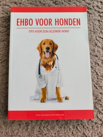 EHBO voor honden van het hondencentrum beschikbaar voor biedingen