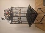 Mooi groot vogelhok, Dieren en Toebehoren, Vogels | Hokken en Kooien, Ophalen of Verzenden, Zo goed als nieuw, Aluminium, Vogelkooi