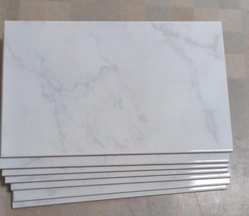 Wandtegels 40 * 25 beschikbaar voor biedingen