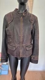 Transmission, Bruin, Transmission, Gedragen, Ophalen