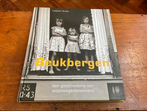 Liesbeth Sluiter - Beukbergen, Boeken, Geschiedenis | Stad en Regio, Ophalen of Verzenden