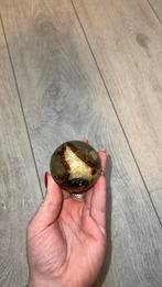Septarie bol, Ophalen of Verzenden, Zo goed als nieuw