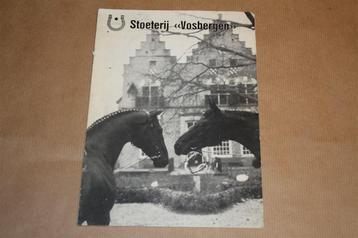 Zeldzame catalogus Stoeterij Vosbergen - Ca 1975 beschikbaar voor biedingen