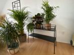 Planten / sidetable zwart metaal (excl.planten), Huis en Inrichting, Tafels | Sidetables, Ophalen, 50 tot 100 cm, Zo goed als nieuw