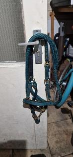 Veulen halster, Ophalen, Nieuw, Overige soorten