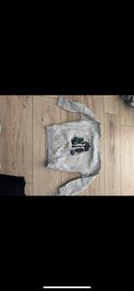 Z8 Bucco, Ophalen of Verzenden, Zo goed als nieuw, Jongen, Trui of Vest