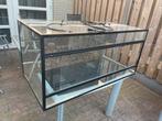 Terrarium, Dieren en Toebehoren, Reptielen en Amfibieën | Toebehoren, Ophalen, Zo goed als nieuw, Terrarium of Paludarium