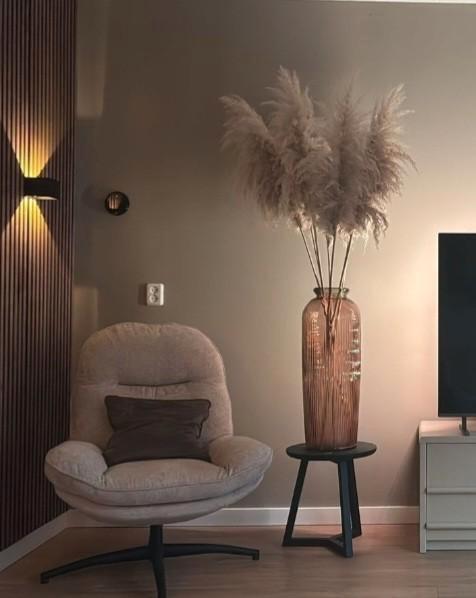 XXL Pampas Pluimen - 60cm, Huis en Inrichting, Woonaccessoires | Droogbloemen, Ophalen of Verzenden