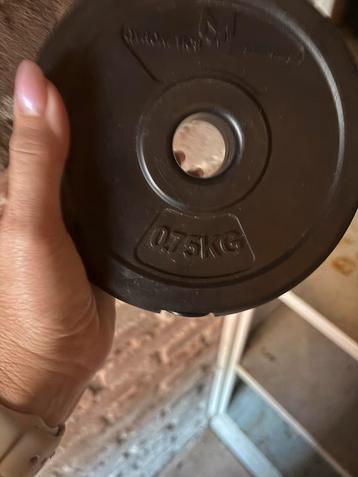 Halterschijven - Verschillende Gewichten beschikbaar voor biedingen