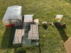 Hamster kooi met kleine materialen, Dieren en Toebehoren, Knaagdieren, Hamster, Augustus, Meerdere dieren, Tam