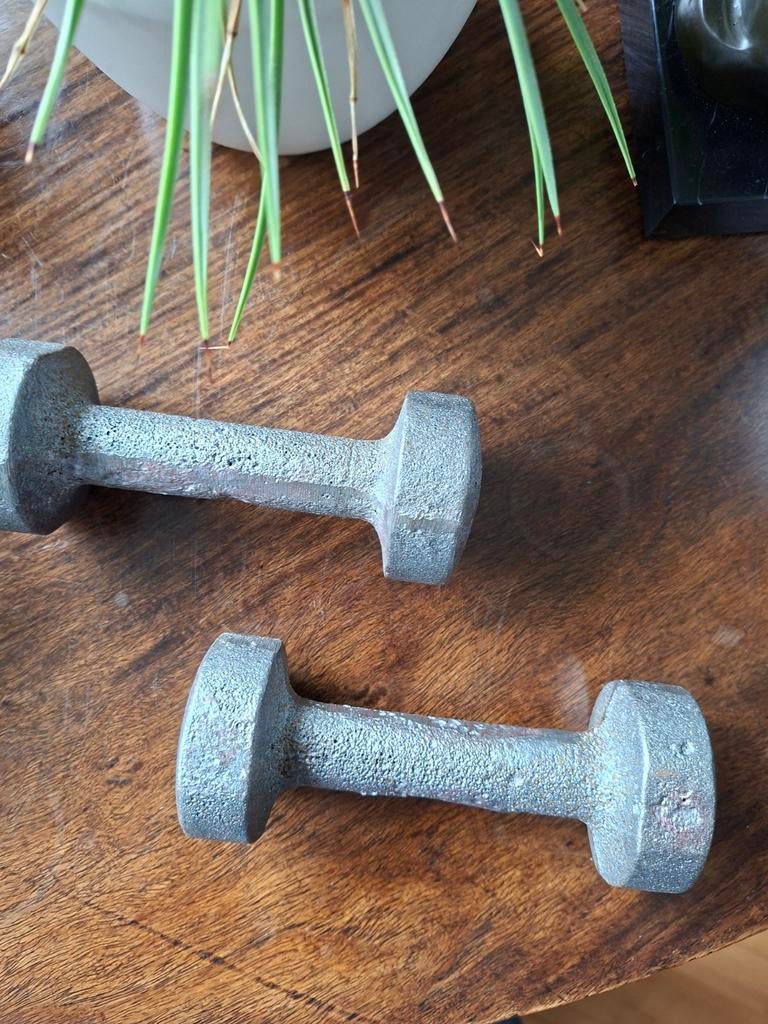 Dumbells 1.50 kg per stuk, Ophalen of Verzenden, Nieuw