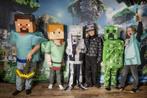 Kinderfeestje Minecraft Drachten (Friesland) en omstreken, Ophalen, Nieuw
