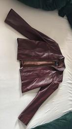 Lederen jasje Da Milano kort 40, Ophalen of Verzenden, Zo goed als nieuw, Maat 38/40 (M), Rood