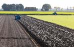 Landbouwgrond te huur