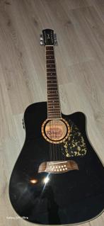 Richwood 12-snarige Akoestische Gitaar, Muziek en Instrumenten, Snaarinstrumenten | Gitaren | Akoestisch, Ophalen of Verzenden