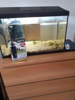 aquarium, Dieren en Toebehoren, Vissen | Aquaria en Toebehoren, Ophalen, Zo goed als nieuw, Leeg aquarium