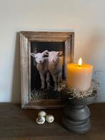 Mooi voorjaarssetje, Ophalen of Verzenden, Nieuw